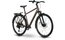 Raymon Zayn Auto - 28 Zoll - Diamant - 2026
