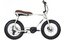 Ruff Cycles Lil Buddy Go Brown & Light Set - 300 Wh - 20 Zoll - Aktion