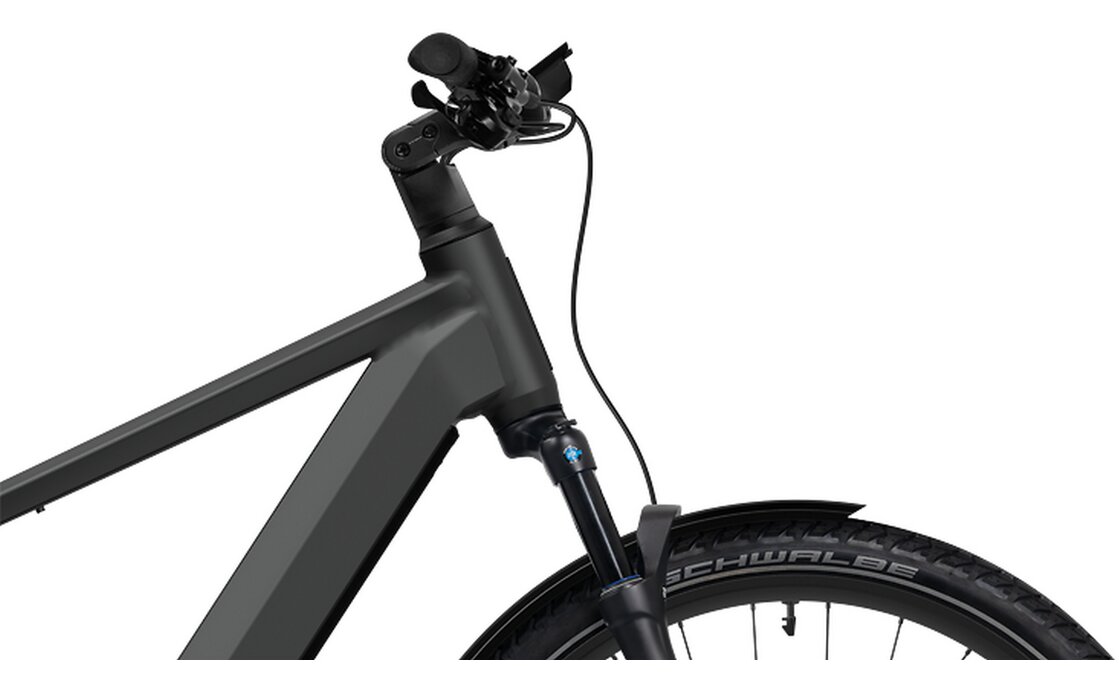 Flyer Goroc TR 7.33 - 800 Wh - 29 Zoll - Diamant - 2025