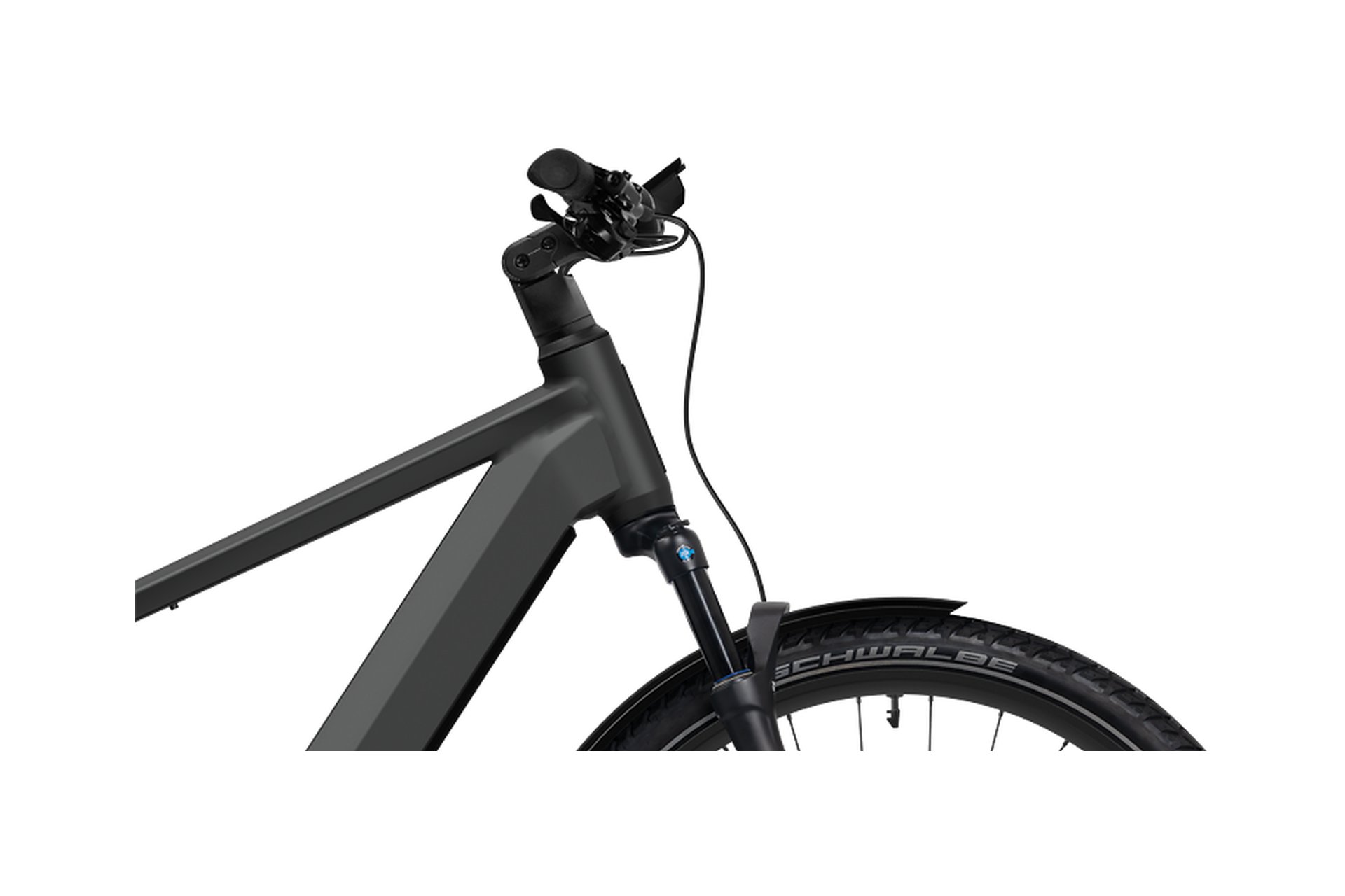 Flyer Goroc TR 7.33 - 800 Wh - 29 Zoll - Diamant - 2025