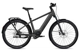 Flyer Goroc TR 7.33 - 800 Wh - 29 Zoll - Diamant - 2025