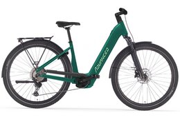 Advanced Trekking Pro Wave - Deore - 750 Wh - 29 Zoll - Tiefeinsteiger