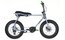 Ruff Cycles Lil Buddy & Light Set - 300 Wh - 20 Zoll - Aktion