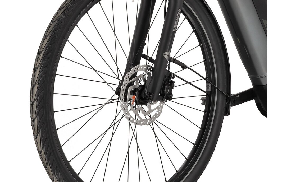 Carver Route E.440 - B-Ware - 800 Wh - 28 Zoll - Damen Sport - 2025