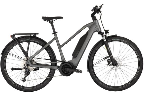 E-Bike-Pedelec - Carver Route E.440 - B-Ware - 800 Wh - 28 Zoll - Trapez