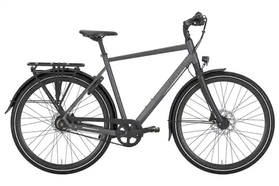 Gazelle Chamonix - Gazelle Chamonix S11 - 28 Zoll - Diamant - 2026