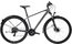 Carver Strict 120 Street - 29 Zoll - Diamant - 2024