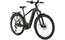Carver SUV E.530 - B-Ware - 625 Wh - 29 Zoll - Diamant - 2025
