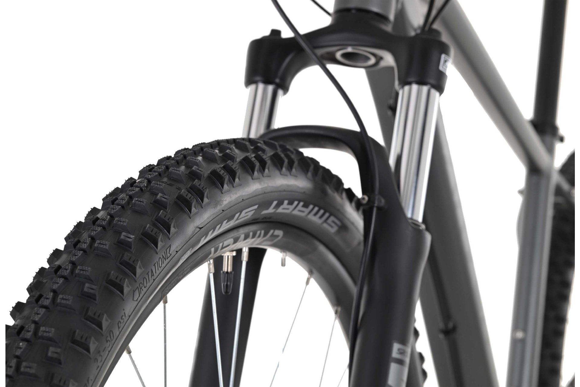 Carver Strict 120 - 29 Zoll - Diamant - 2024