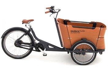 Babboe Slim Mountain - Babboe Curve Mountain - 500 Wh - 2022 - 26 Zoll - Sonstiges