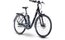 Raymon CityRay E 4.0 FW - 500 Wh - 28 Zoll - Tiefeinsteiger - 2024