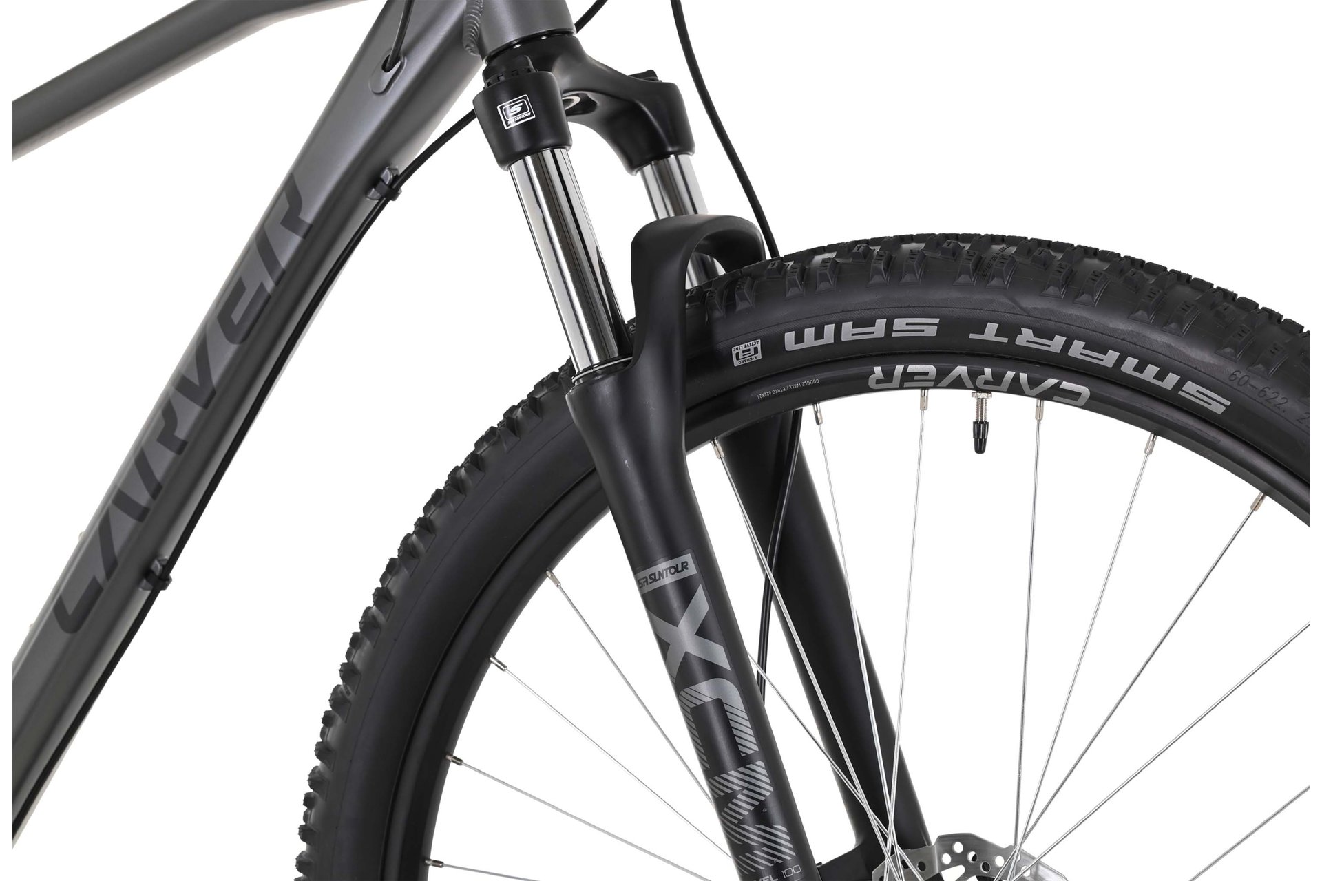 Carver Strict 120 - 29 Zoll - Diamant - 2024