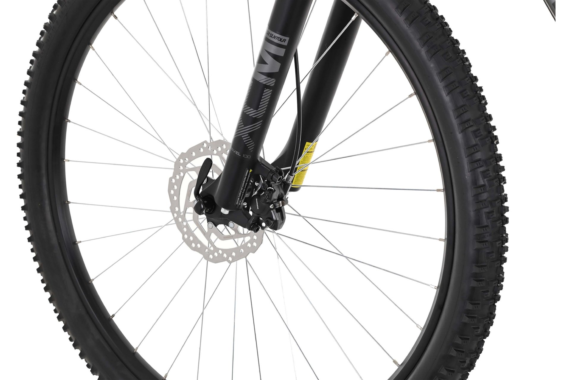 Carver Strict 120 - 29 Zoll - Diamant - 2024