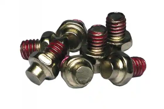 XXL Sale % - Xpedo Pinset Straight-Typ