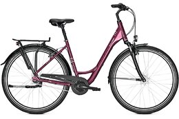  - Raleigh Chester 7 - 28 Zoll - Tiefeinsteiger - Aktion