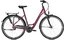 Raleigh Chester 7 - 28 Zoll - Tiefeinsteiger - Aktion