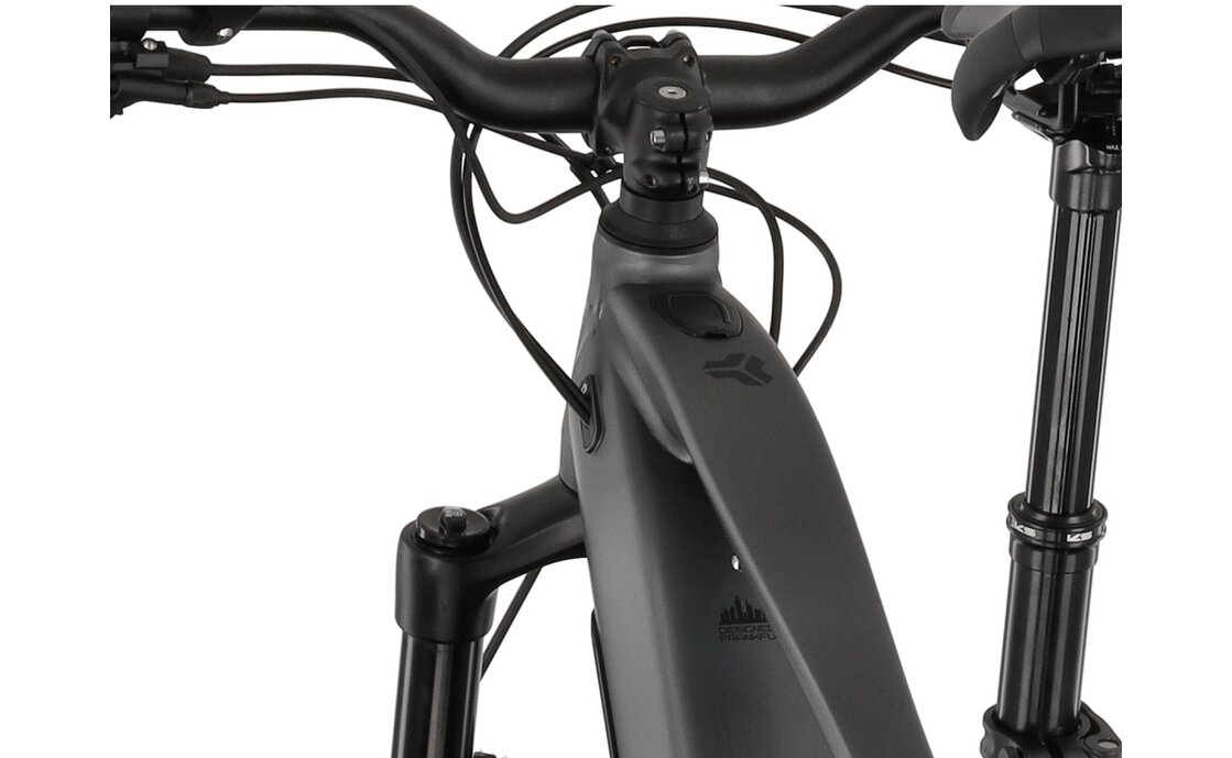 Carver Drift E.520 - B-Ware - 625 Wh - 29 Zoll - Fully