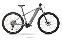 Raymon Zorq Pure - 504 Wh - 29 Zoll - Diamant