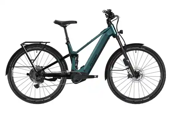 E-Bike Trekking - Flyer G2 Goroc X 6.70 - 800 Wh - 29 Zoll - Fully