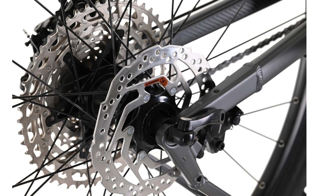 Carver Strict 140 - B-Ware - 29 Zoll - Diamant - 2024