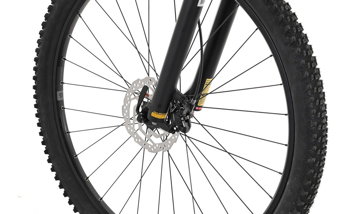 Carver Strict 140 - B-Ware - 29 Zoll - Diamant - 2024