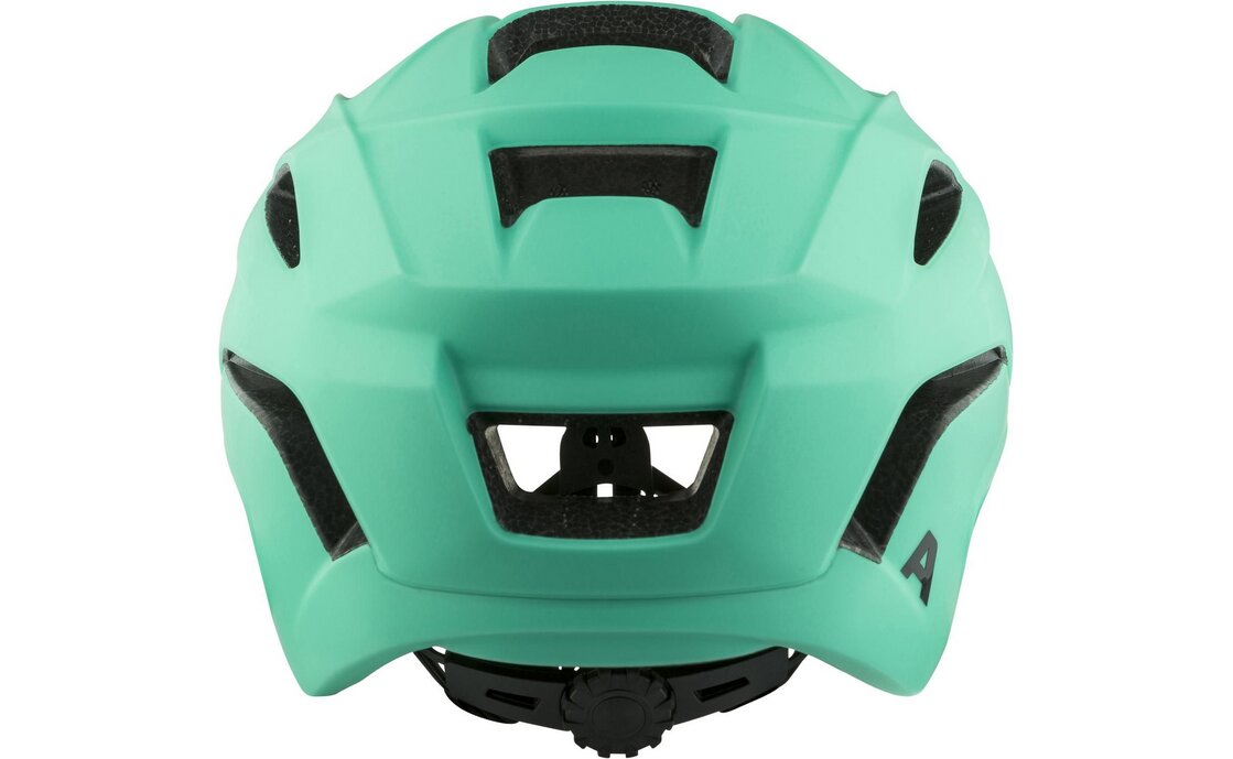 Alpina Kamloop