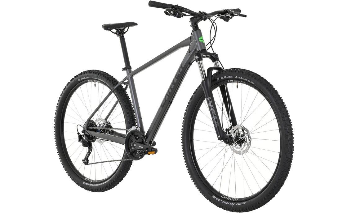 Carver Strict 120 - 29 Zoll - Diamant - 2024