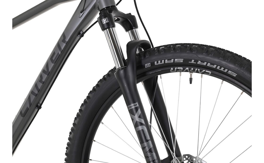 Carver Strict 120 - 29 Zoll - Diamant - 2024