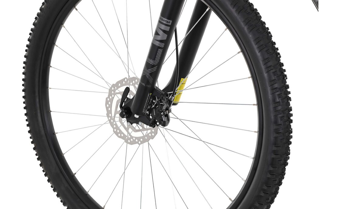 Carver Strict 120 - 29 Zoll - Diamant - 2024