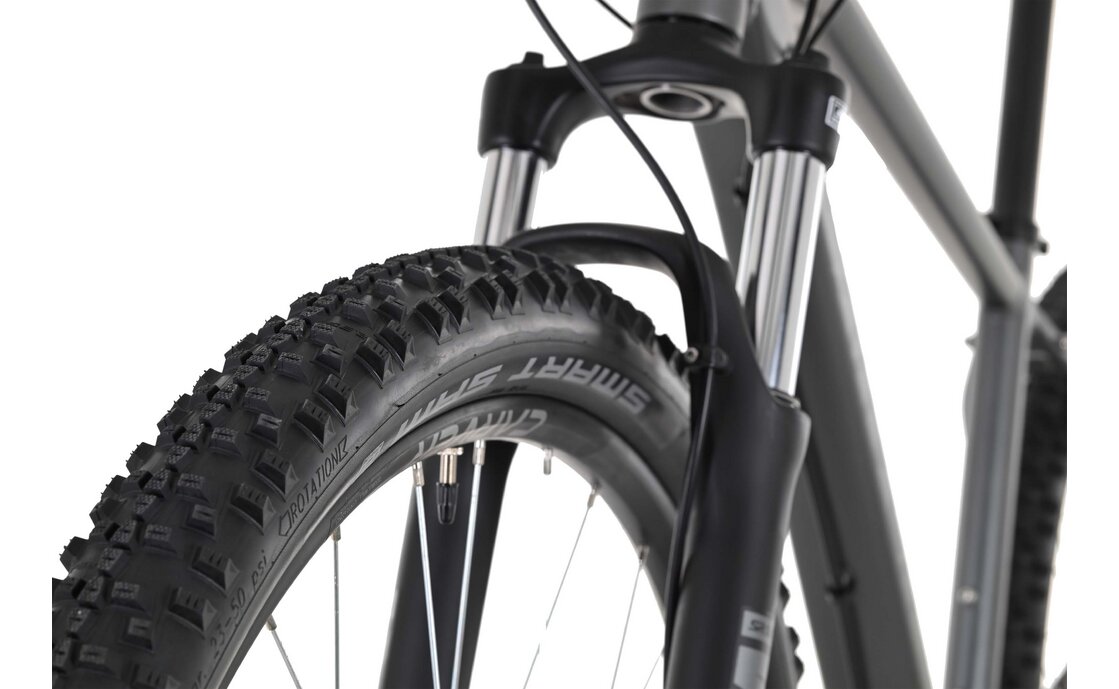 Carver Strict 120 - 29 Zoll - Diamant - 2024