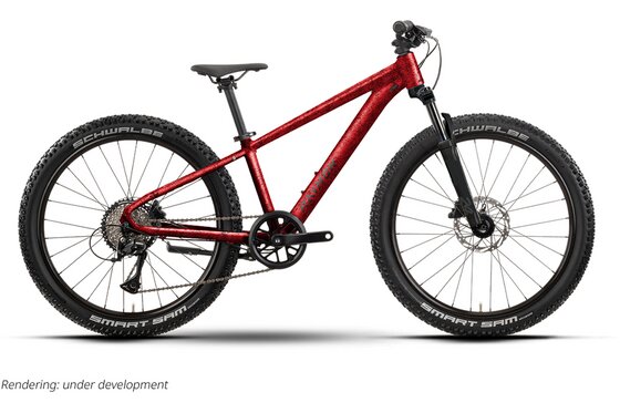 Kindermountainbikes - Raymon Nayta 24 Pro - 24 Zoll - Diamant - 2026