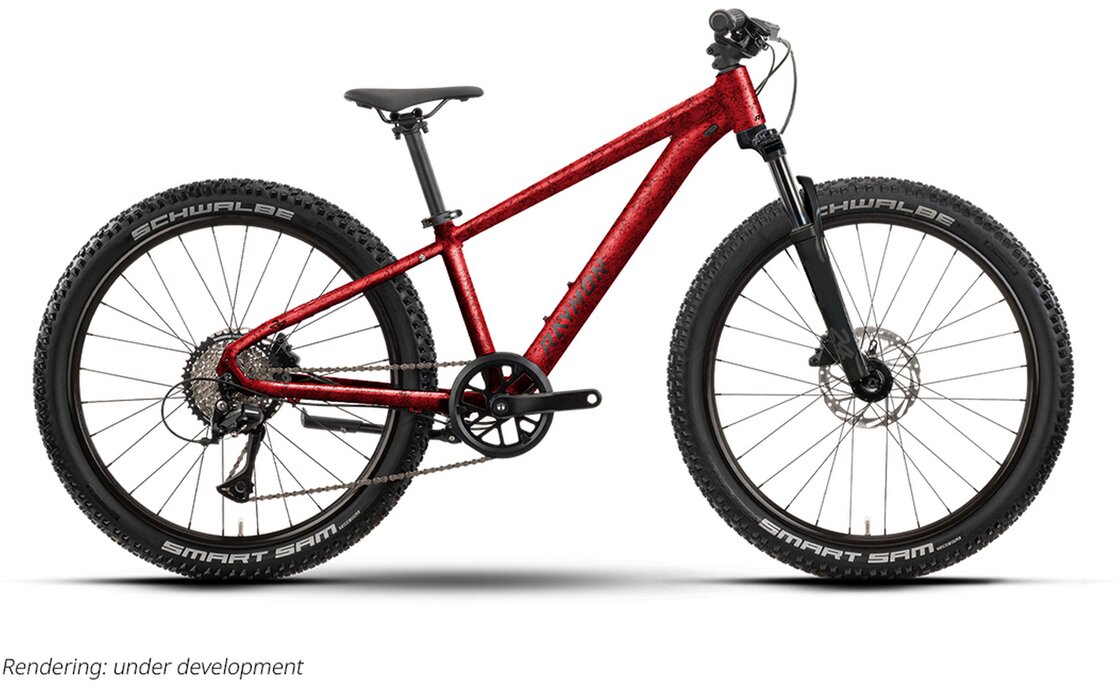 Raymon Nayta 24 Pro - 24 Zoll - Diamant - 2026