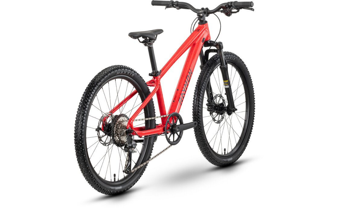 Raymon Nayta 24 Pro - 24 Zoll - Diamant - 2026