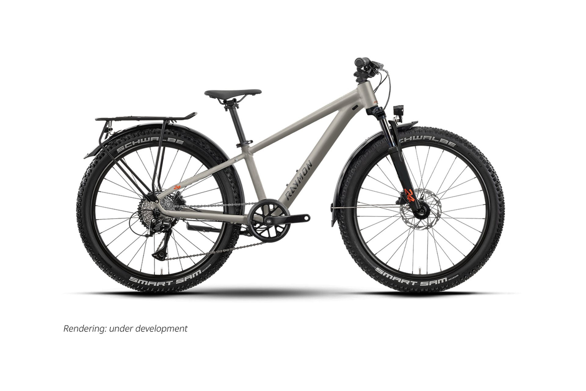 Raymon Nayta 24 Pro Street - 24 Zoll - Diamant - 2026