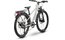 Raymon Nayta 24 Pro Street - 24 Zoll - Diamant - 2026