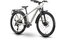Raymon Nayta 24 Pro Street - 24 Zoll - Diamant - 2026