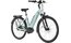 Carver Cityzen E.420 RT - B-Ware - 500 Wh - 28 Zoll - Tiefeinsteiger - 2024