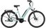 Carver Cityzen E.420 RT - B-Ware - 500 Wh - 28 Zoll - Tiefeinsteiger - 2024