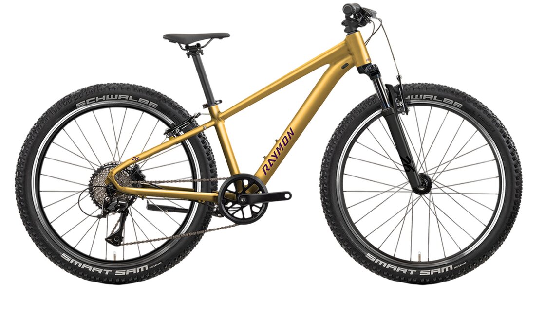 Raymon Nayta 26 Comp - 26 Zoll - Diamant - 2026