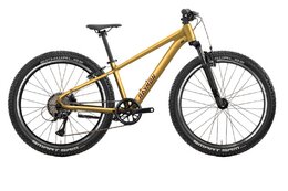 Raymon Nayta 26 Comp - 26 Zoll - Diamant - 2026