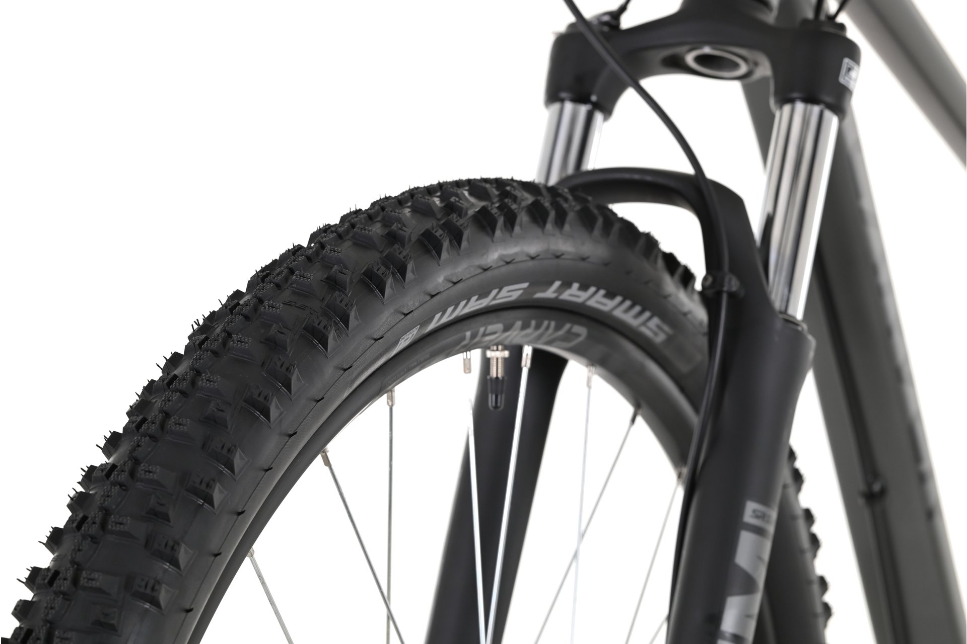 Carver Strict 130 - 29 Zoll - Diamant - 2024