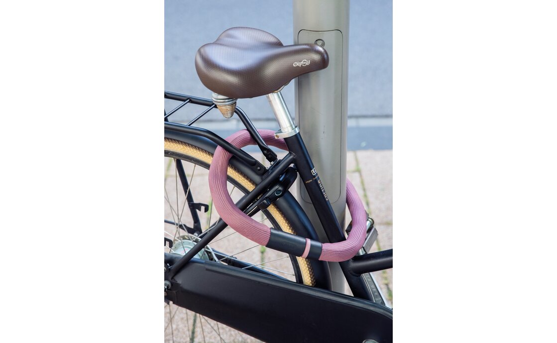Abus Goose Lock 6206K/110 Kettenschloss