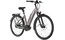 Carver Cityzen E.440 FL - B-Ware - 500 Wh - 28 Zoll - Tiefeinsteiger - 2024