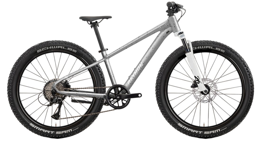 Raymon Nayta 26 Pro - 26 Zoll - Diamant - 2026