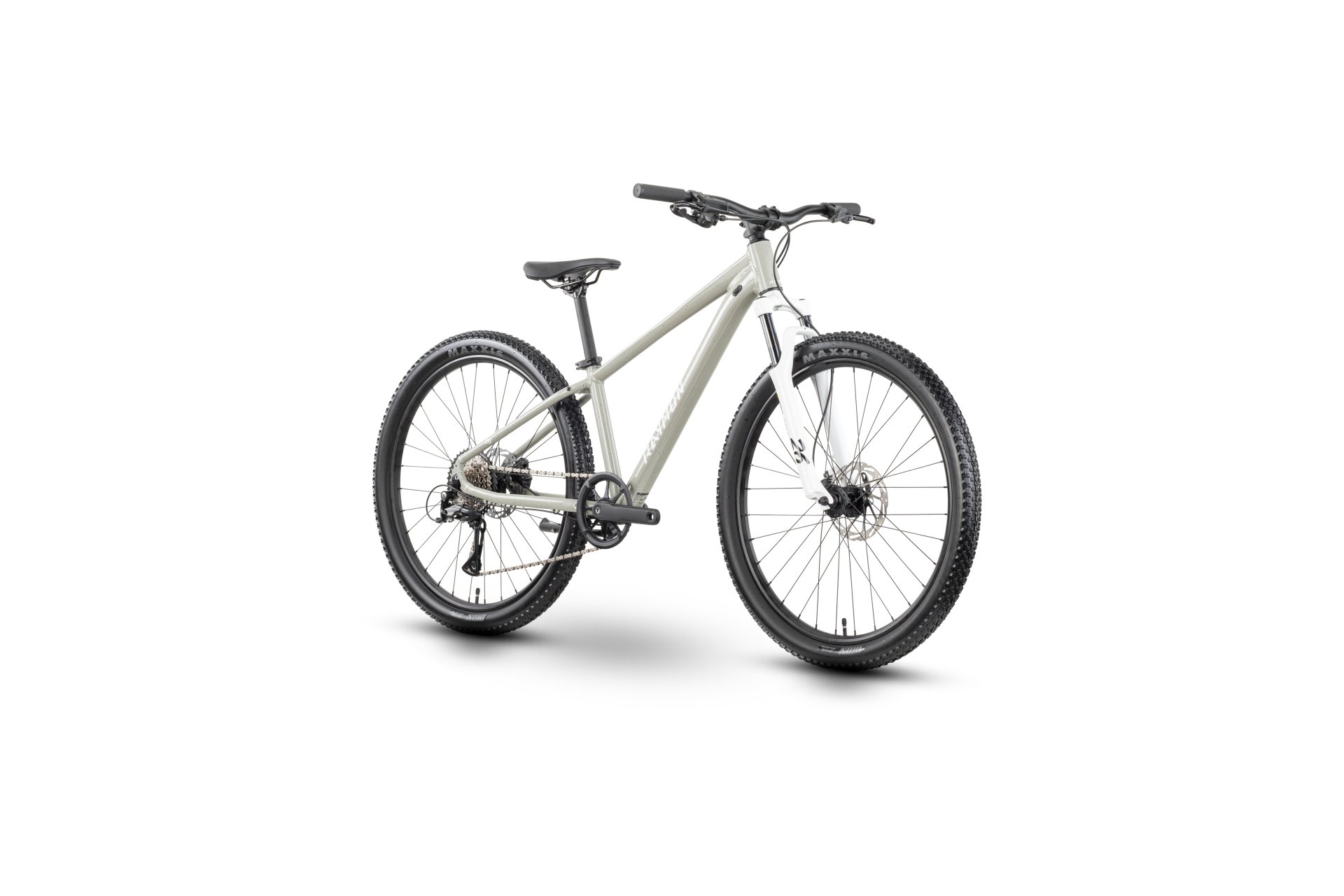 Raymon Nayta 26 Pro - 26 Zoll - Diamant - 2026