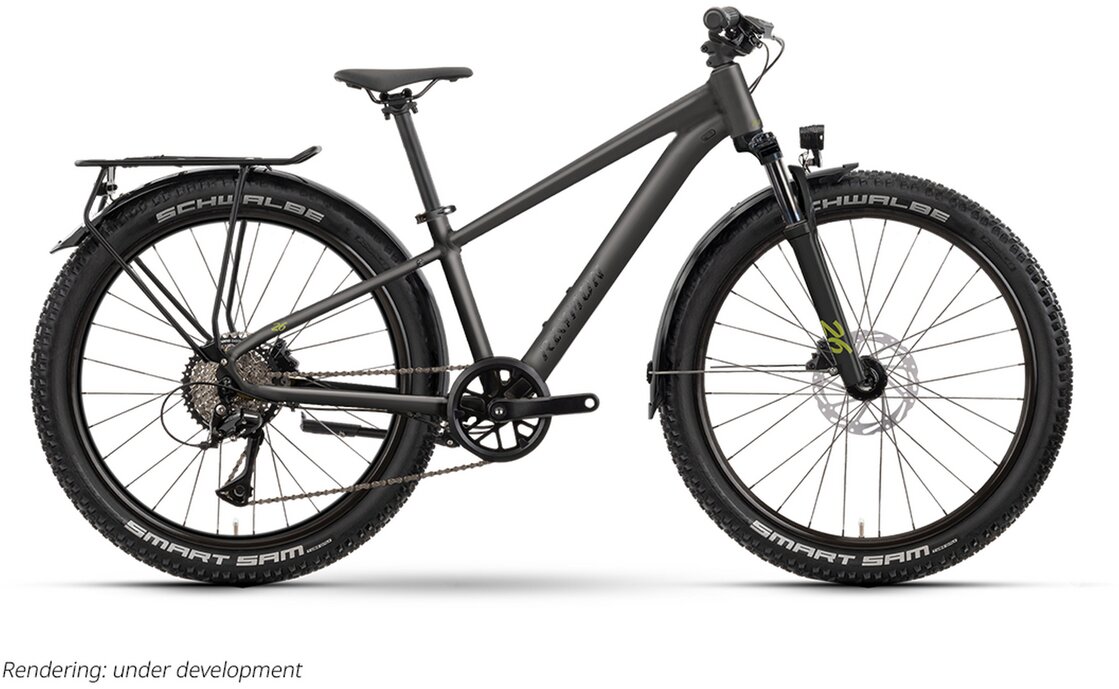 Raymon Nayta 26 Pro Street - 26 Zoll - Diamant - 2026