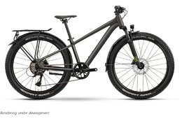 Raymon Nayta 26 Pro Street - 26 Zoll - Diamant - 2026