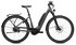 anthracite gloss