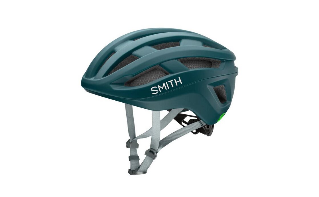 Smith Persist MIPS
