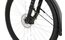Carver Strict 120 Street - 29 Zoll - Diamant - 2024